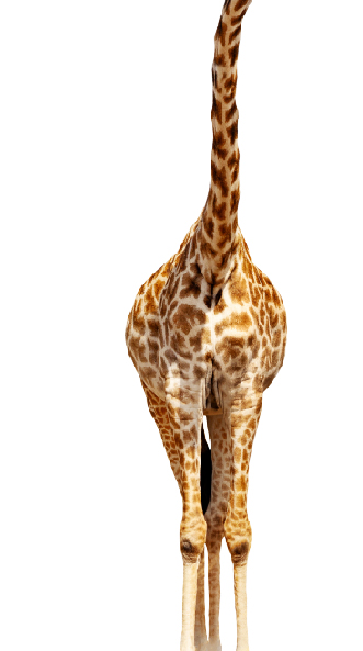 Télécharger Peinture de girafe captivante avec un arrière-plan intrigant  PNG En Ligne - Creative Fabrica